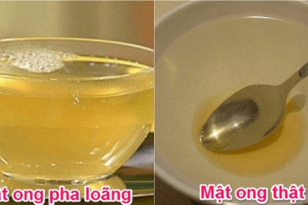 Chuyên gia mách mẹo phân biệt mật ong rừng thật – giả đơn giản ngay tại nhà