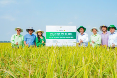 Ngành trồng trọt: Từ “cách mạng hạt giống” đến “cách mạng sinh thái”