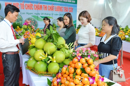 Bắc Ninh: Lan tỏa Lễ hội trái cây Bắc Ninh 2025