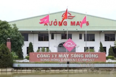 May Sông Hồng (MSH) sắp tạm ứng cổ tức, gia đình Chủ tịch Bùi Đức Thịnh dự thu gần 200 tỷ đồng