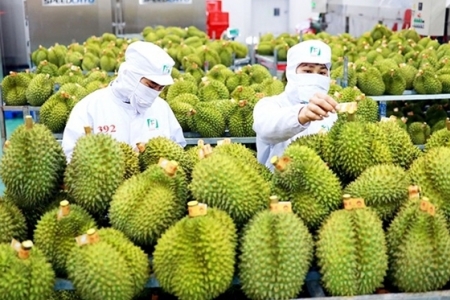 Tăng giá trị nông sản Việt để chinh phục thị trường EU