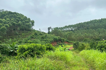 Bắc Ninh: Cấp mới 4 giấy phép khai thác khoáng sản, bảo đảm nguồn cung vật liệu xây dựng