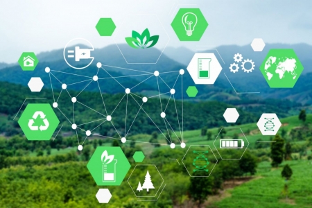 Tiêu chuẩn xanh – Công cụ then chốt thúc đẩy chuyển đổi xanh và phát triển bền vững tại Việt Nam