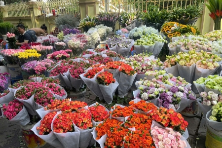 Hà Nội tràn ngập sắc hoa và quà tặng trong không khí tri ân giáo viên