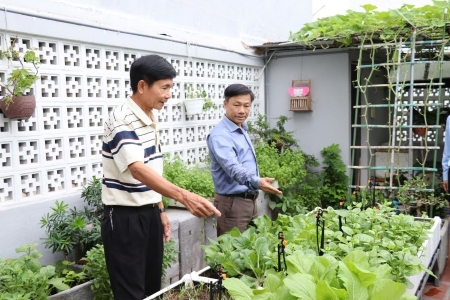 Nông nghiệp đô thị mở ra không gian xanh và thực phẩm sạch