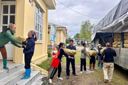 Quảng Ninh: Xã Quảng Đức hỗ trợ nhân dân 15 tấn giống khoai tây Atlantic trồng vụ đông