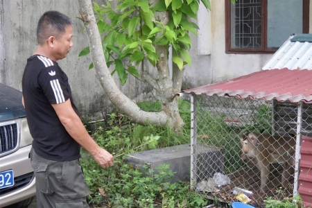 Hải Phòng: Tăng cường tuyên truyền, xử lý vi phạm về bảo vệ động vật hoang dã và nguồn lợi thủy sản