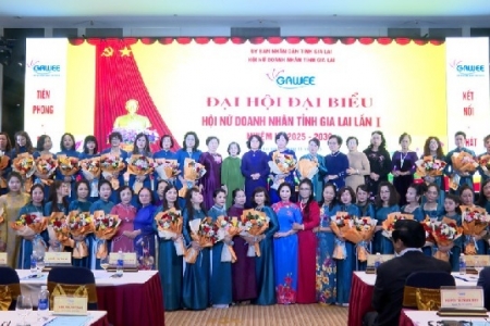 Gia Lai: Bà Đồng Thị Ánh được bầu làm Chủ tịch Hội Nữ doanh nhân tỉnh