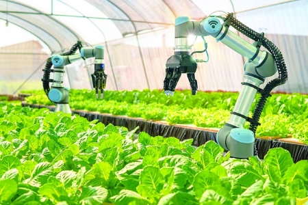 TP. Hồ Chí Minh đề xuất cơ chế hỗ trợ vốn và quỹ đất để phát triển giống nông nghiệp chất lượng cao