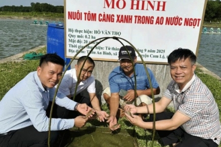 Nâng cao kỹ thuật nuôi tôm công nghệ sinh học tại Quảng Trị