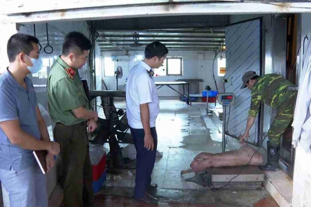 Khởi tố chủ trại lợn ở Hưng Yên giấu dịch tả, vẫn tuồn thịt bệnh ra thị trường