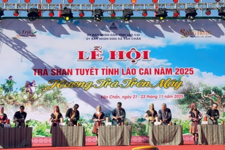 Lễ hội Trà Shan tuyết tỉnh Lào Cai 2025: “Hương trà trên mây” giữa đại ngàn Tây Bắc