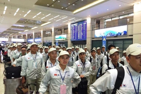 Nghệ An: Mô hình lao động phi lợi nhuận mở ra con đường đổi đời cho hàng chục nghìn người dân