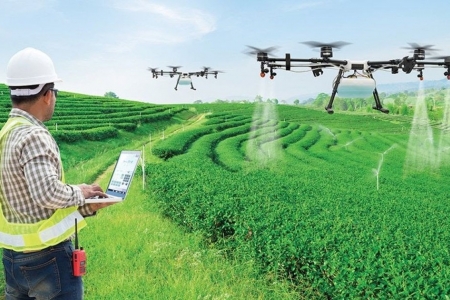 AI trong nông nghiệp Việt Nam: Cơ hội lớn nhưng còn nhiều thách thức dữ liệu