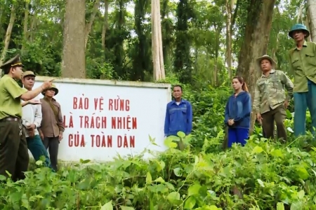 Nghệ An: Hơn 202.000 ha rừng đã được giao cho người dân