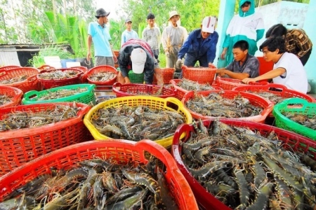 Thương mại Việt Nam và thành viên CPTPP tăng 20,6%