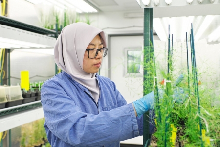 Các nhà khoa học hàng đầu thế giới hiến kế nuôi sống 10 tỷ người tại Tuần lễ Khoa học Công nghệ VinFuture 2025