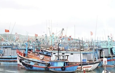 Gia Lai chủ động triển khai ứng phó với bão số 15