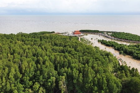 Cà Mau quản lý và bảo vệ môi trường Khu Dự trữ sinh quyển thế giới Mũi Cà Mau