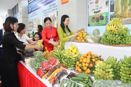 Bắc Ninh: Thu nhập bình quân đầu người hơn 71 triệu đồng/người/năm