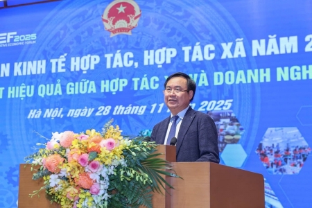 Nông nghiệp hiện đại: Liên kết hợp tác xã và doanh nghiệp nâng cao hiệu quả sản xuất