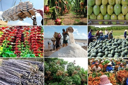 Trung Quốc nhập khẩu 8,7 tỷ USD nông sản Việt Nam