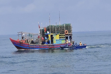 Nghệ An tăng cường kiểm soát, xử phạt gần 500 trường hợp vi phạm khai thác hải sản bất hợp pháp