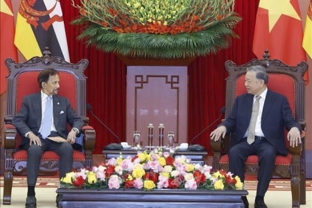 Tổng Bí thư Tô Lâm tiếp Quốc vương Brunei