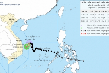 Bão số 15 đã suy yếu thành áp thấp nhiệt đới