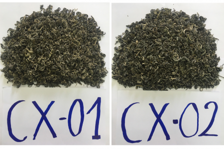 Bảo hộ chỉ dẫn địa lý “Tủa Chùa” cho chè xanh Shan tuyết và chè phổ nhĩ sống Shan tuyết