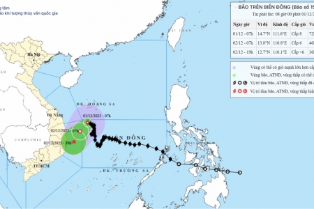 Bão số 15 làm biển động mạnh giữa Biển Đông, cảnh báo nguy hiểm cho tàu thuyền