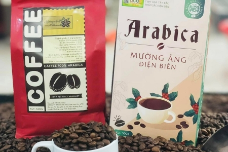 Bảo hộ chỉ dẫn địa lý “Mường Ảng” cho sản phẩm cà phê