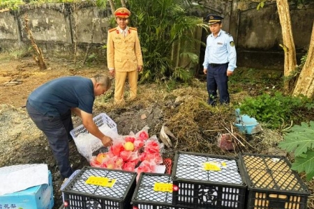 Nghệ An: Tiêu hủy 180 kg hoa quả nhập lậu không rõ nguồn gốc