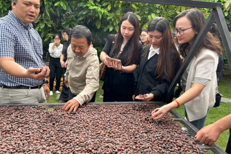 Ca cao Việt Nam: Hành trình biến hạt nhỏ thành “vàng nâu” quốc tế