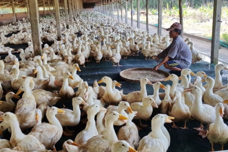 Tây Ninh tập trung các biện pháp kiểm soát dịch bệnh