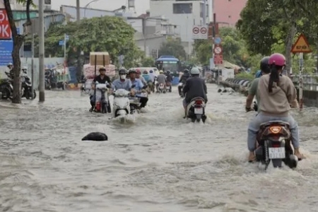 TP. HCM chủ động triển khai các biện pháp phòng, chống, ứng phó đợt triều cường