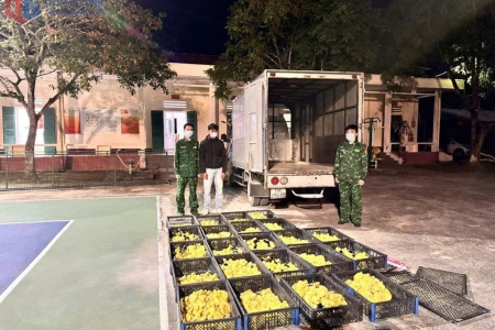 Đồn Biên phòng Bắc Sơn bắt giữ đối tượng vận chuyển trái phép 2.200 con vịt giống