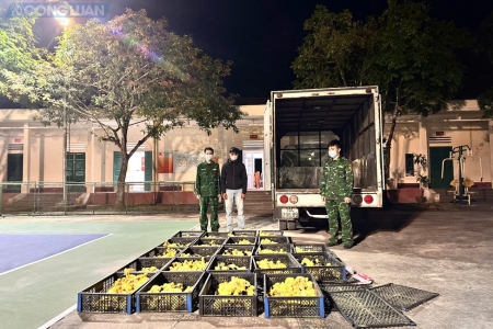 Chặn đứng chuyến xe chở 2.200 con vịt giống không rõ nguồn gốc giữa đêm ở Pẹc Nả