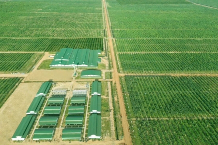 Tăng cường hợp tác đầu tư Việt Nam - Lào