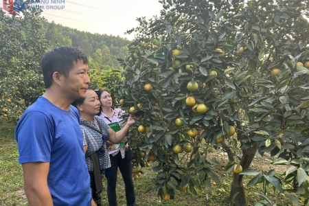 Quảng Ninh không còn hộ nghèo theo chuẩn nghèo tiếp cận đa chiều