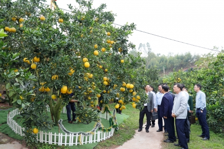 Tổng duyệt Chương trình khai mạc Lễ hội trái cây Bắc Ninh 2025