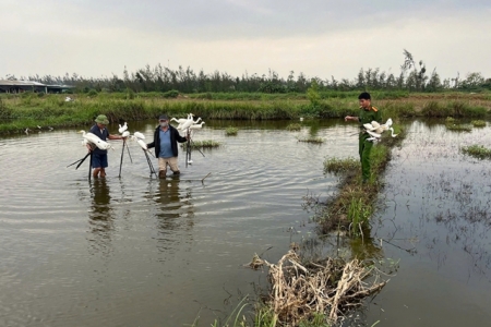 Nghệ An mạnh tay dẹp nạn bẫy bắt chim hoang dã tại các vùng ven biển