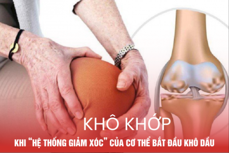 Khô khớp – Khi “hệ thống giảm xóc” của cơ thể bắt đầu khô dầu