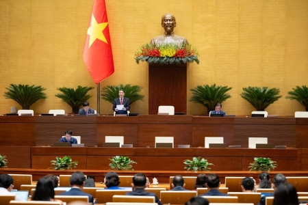 Sửa Luật Thuế Giá trị gia tăng: Tập trung tháo gỡ vướng mắc cho lĩnh vực nông nghiệp và hoàn thuế