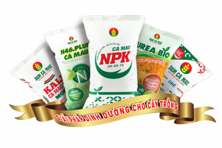 DCM điều chỉnh kế hoạch, tăng mạnh mục tiêu lợi nhuận thêm 88%