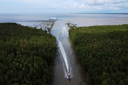Hơn 2.630 tỷ đồng đầu tư cho các dự án bảo vệ “lá chắn xanh” vùng ven biển