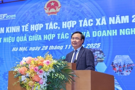 Sự phát triển của doanh nghiệp phụ thuộc chặt chẽ vào sự trưởng thành của hợp tác xã