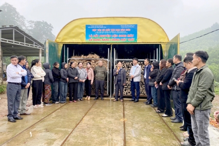 Quảng Trị tập huấn công nghệ sấy song mây bằng năng lượng mặt trời