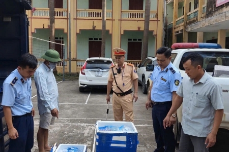 Chi Cục QLTT Phú Thọ chủ động liên kết liên ngành, bảo vệ thị trường cuối năm