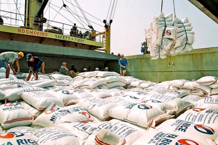 Xuất khẩu gạo 2026: Cơ hội phục hồi từ FTA và chuẩn hóa vùng nguyên liệu chất lượng cao